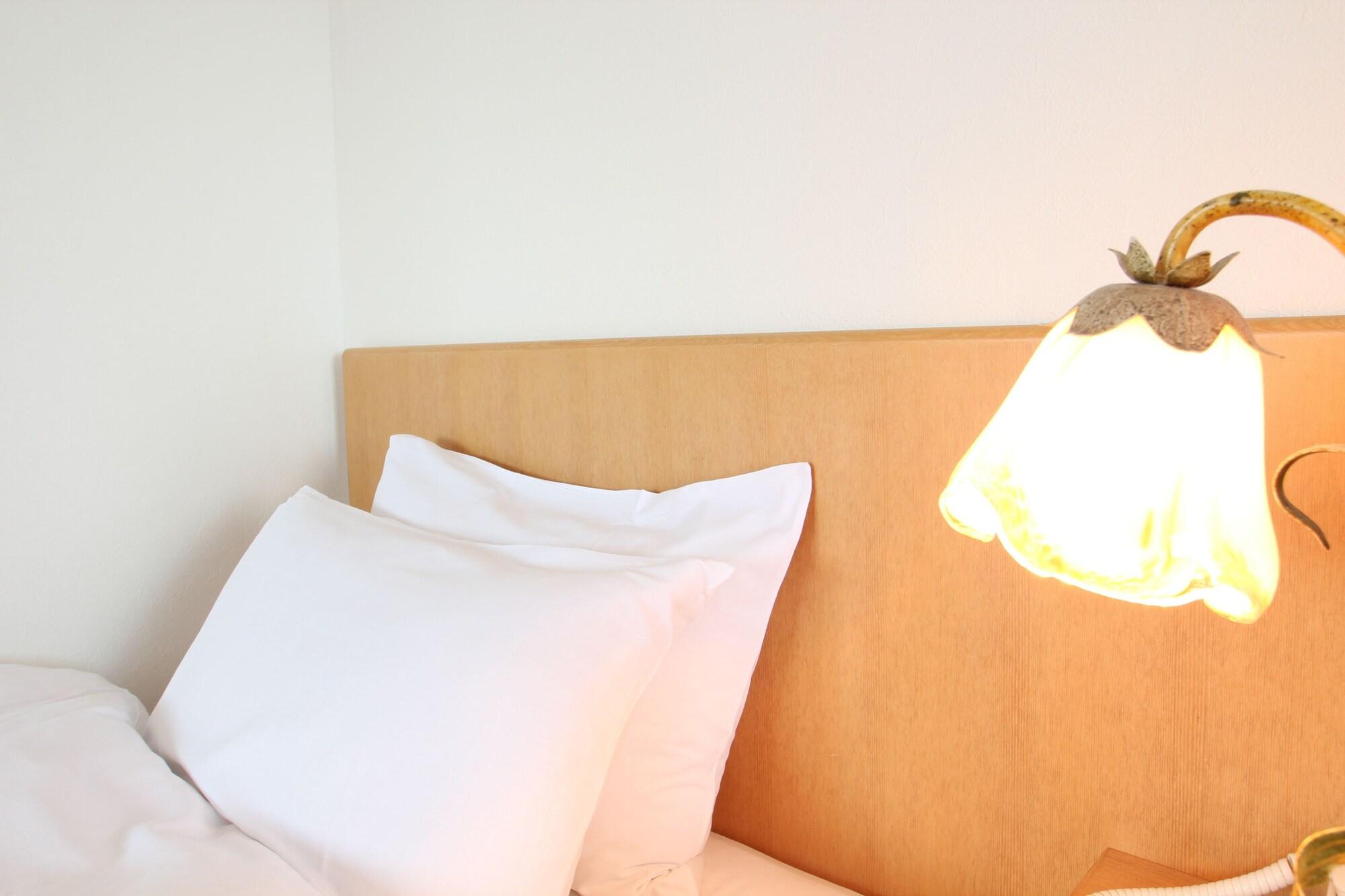 Hikone Biwako Hotel Exterior photo